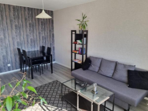 Rauma Canal Apartment